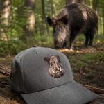 Gray baseball cap with an embroidered boar head resting on a fallen log; a wild boar stands in a forest background.